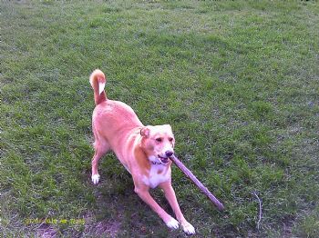 jorgey67 profile photo