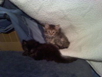 Alastriona profile photo