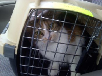 Alastriona profile photo