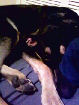 Jcole0225 profile photo