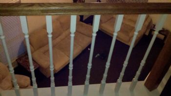 EASYGOING77 profile photo