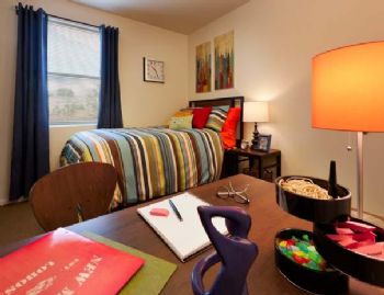 Lobo2014 profile photo