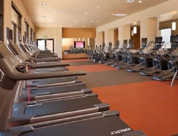 Lobo2014 profile photo