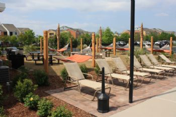 jmblack profile photo