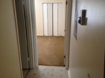 davey31313 profile photo