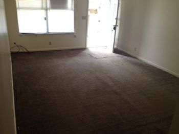 davey31313 profile photo