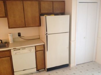 davey31313 profile photo