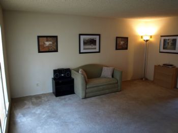 blc7772001 profile photo