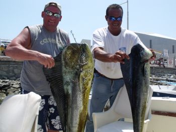 hawkfan4life profile photo