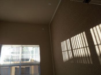 aphipps87 profile photo