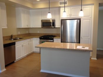 aphipps87 profile photo