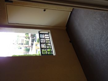 aphipps87 profile photo