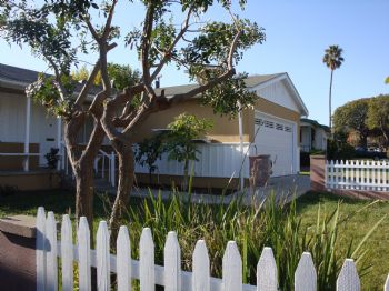 bauer10943 profile photo