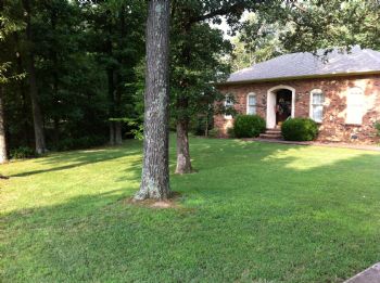 crash1234567 profile photo