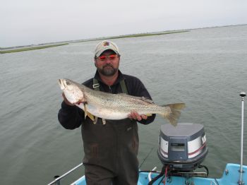 Sillohm profile photo