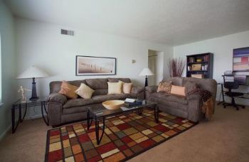 xecelus profile photo