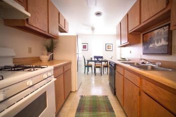 xecelus profile photo