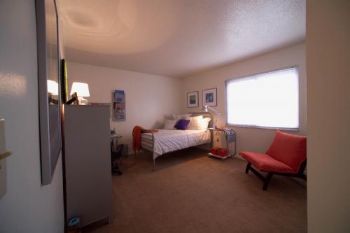 xecelus profile photo