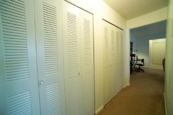 xecelus profile photo