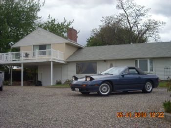 Peteypablo profile photo