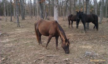 dbierk profile photo