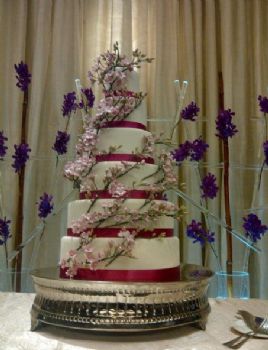 cakemaker profile photo