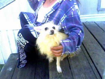 raesheets profile photo