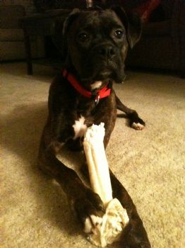 jsw1122 profile photo