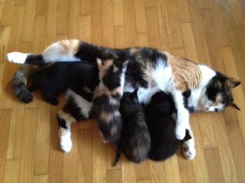 marikins profile photo