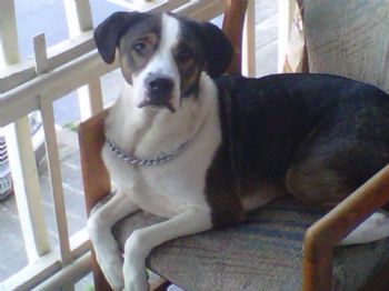 heather_88 profile photo