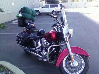 SecondChance profile photo