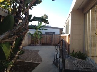 grdngirl profile photo