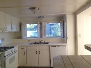 grdngirl profile photo