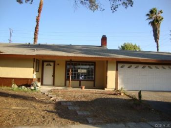 apdavidson4 profile photo