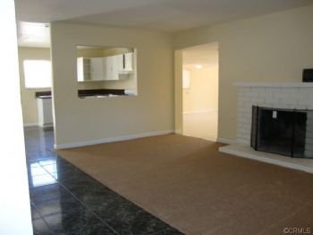 apdavidson4 profile photo