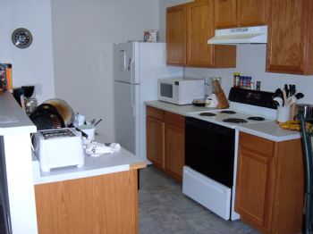 katiek profile photo