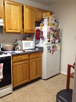 mmutafian profile photo