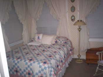 dolphinole profile photo