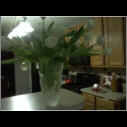 kiki49 profile photo