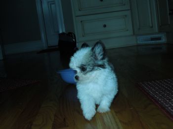 cballing profile photo