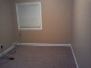 yadams profile photo