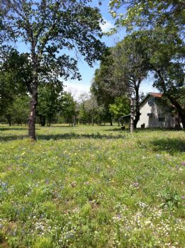 ERS.Terry profile photo