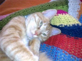 Gongkaina profile photo