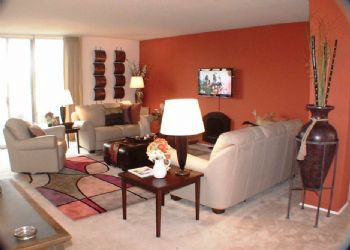 VI Lady profile photo