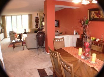 VI Lady profile photo