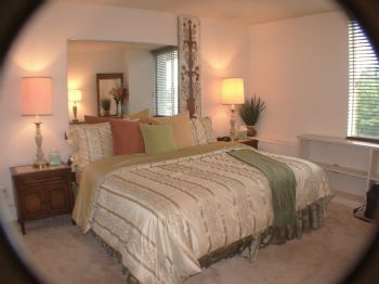 VI Lady profile photo