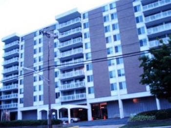 VI Lady profile photo