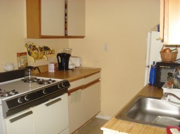 mpurchla profile photo