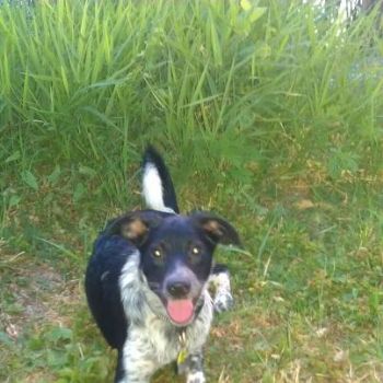 BMMWright profile photo