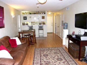 dwagner profile photo